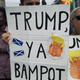 Illustration for article titled Scottish anti-Trump photo dump (long and comprehensive!)